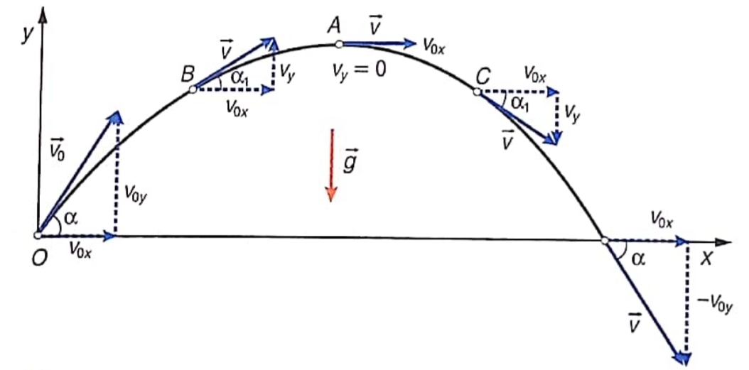 Projectile Motion