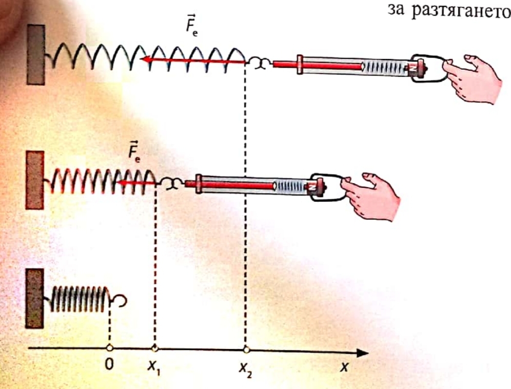 Elastic Potential Energy