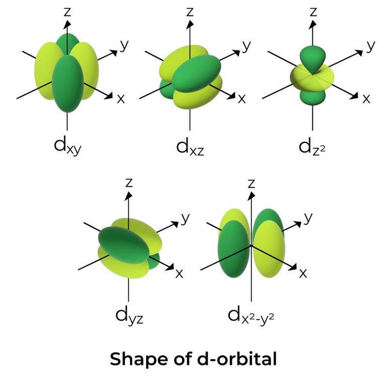 d-orbital