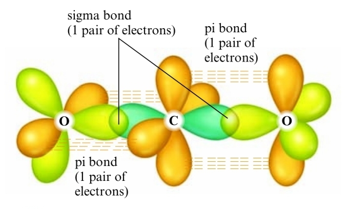 CO2 Hybridization