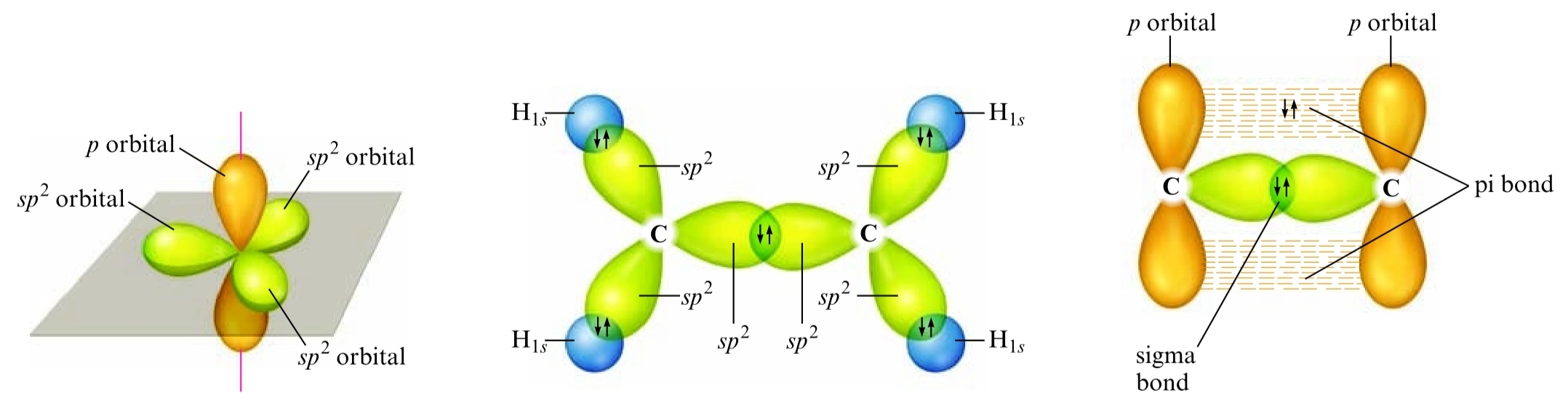 Ethylene Hybridization