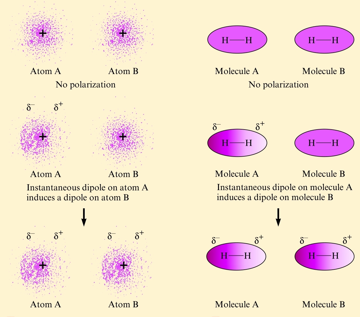 Instantaneous Dipoles