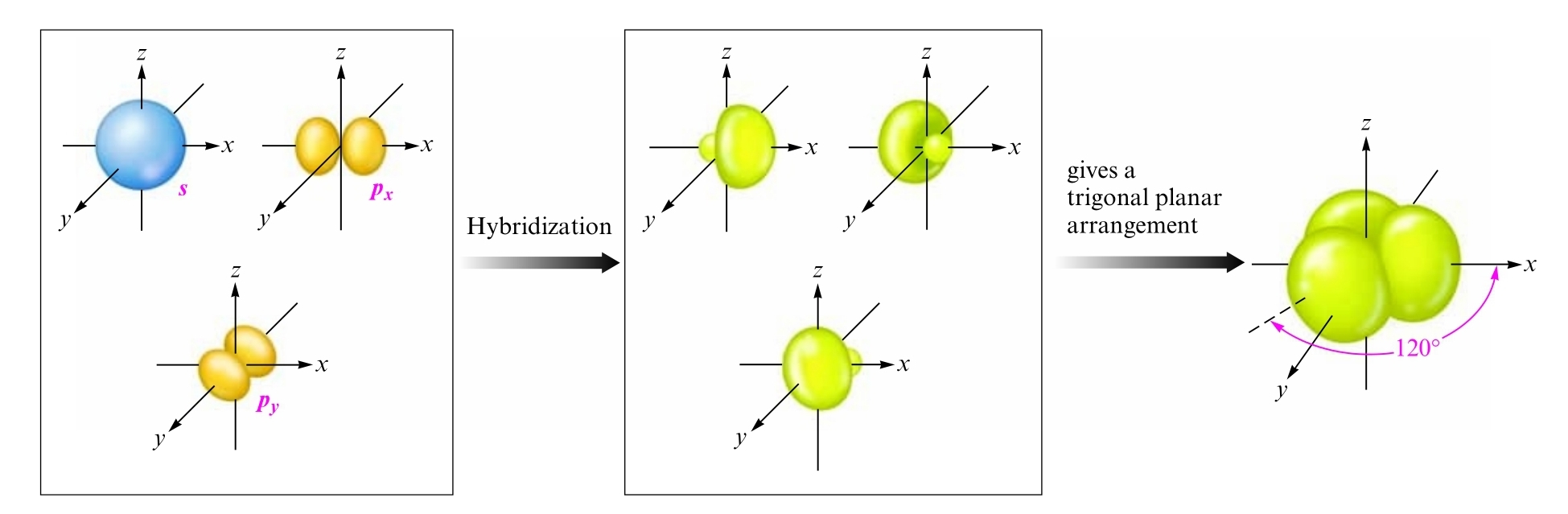 sp2 hybridization