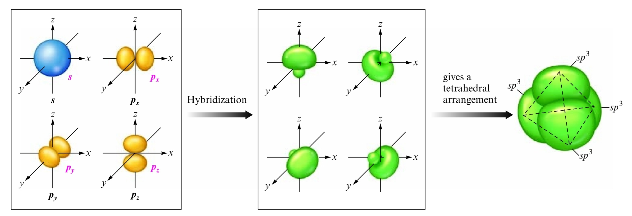 sp3 hybridization